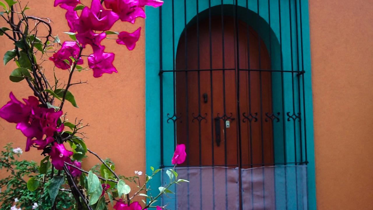 Casa Frida B&B Oaxaca Kültér fotó